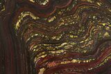 Polished Tiger Iron Stromatolite Slab - Billion Years #354939-1